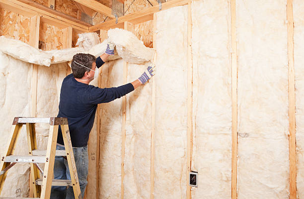 Best Basement Insulation  in Talpa, NM